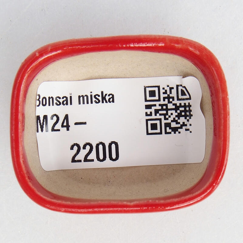 Mini bonsaischaal 4 x 3 x 1,5 cm, kleur rood