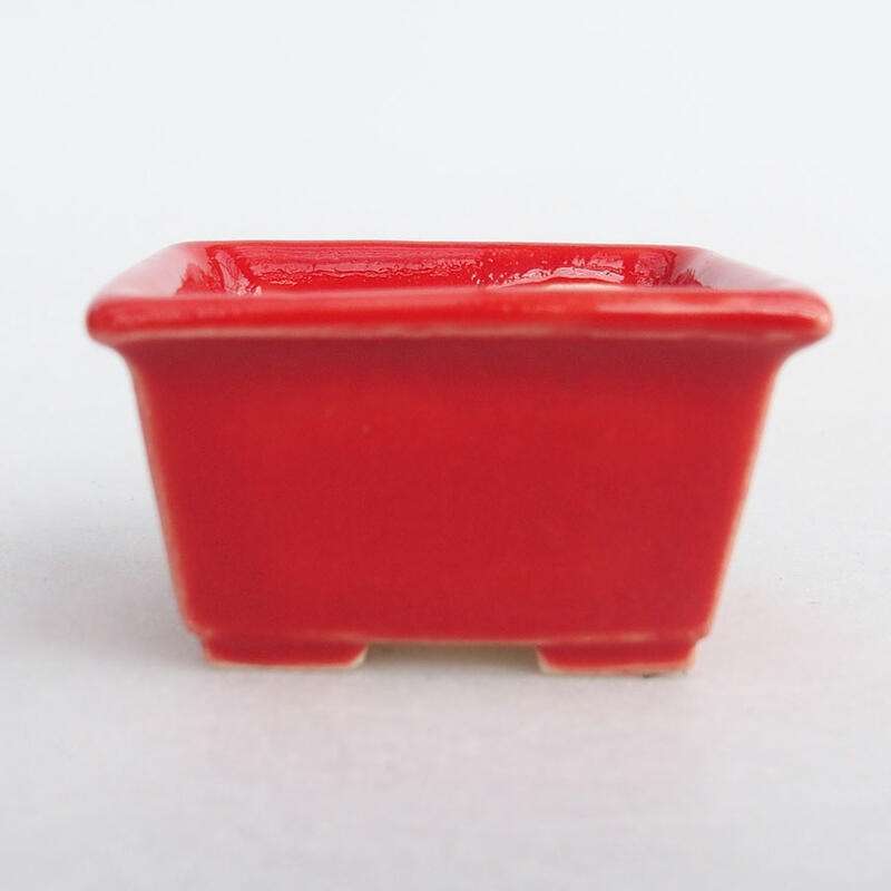 Mini bonsaischaal 4 x 3 x 2 cm, kleur rood
