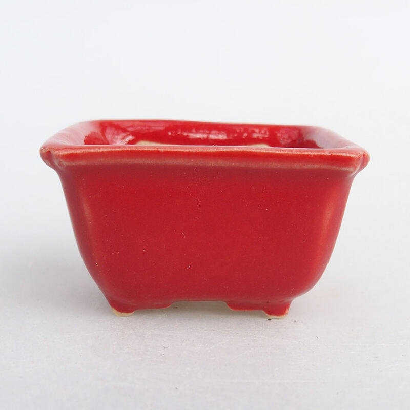 Mini bonsaischaal 4 x 3 x 2 cm, kleur rood