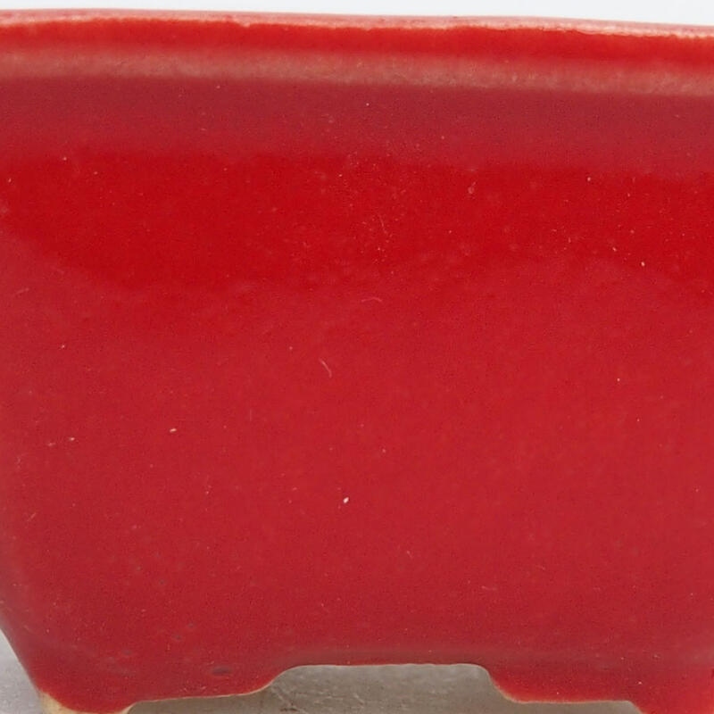 Mini bonsaischaal 4 x 3 x 2 cm, kleur rood
