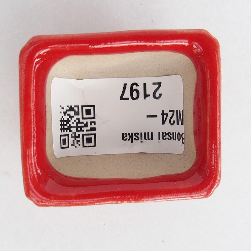 Mini bonsaischaal 4 x 3 x 2 cm, kleur rood