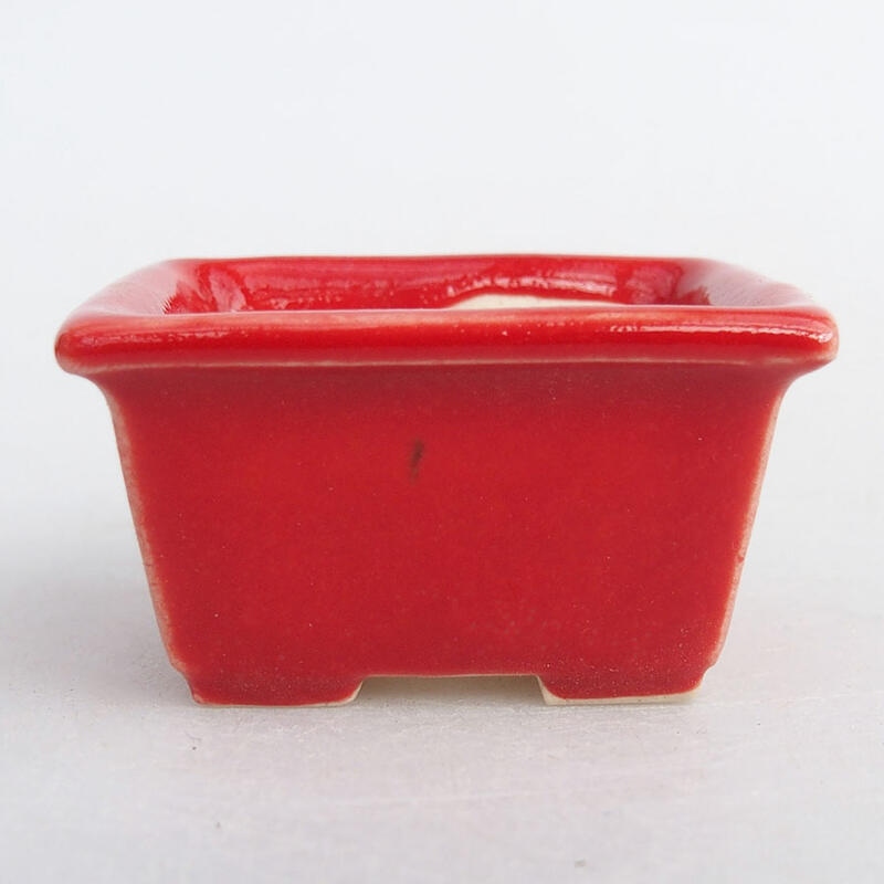 Mini bonsaischaal 4 x 3 x 2 cm, kleur rood
