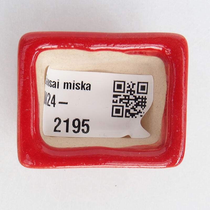 Mini bonsaischaal 4 x 3 x 2 cm, kleur rood