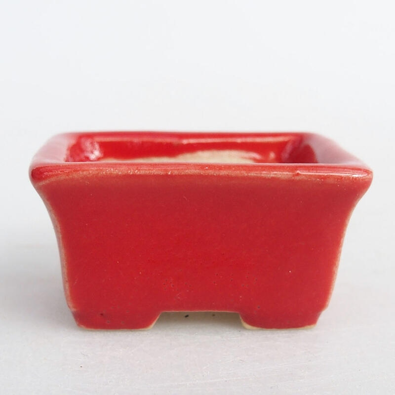 Mini bonsaischaal 4 x 3 x 2 cm, kleur rood