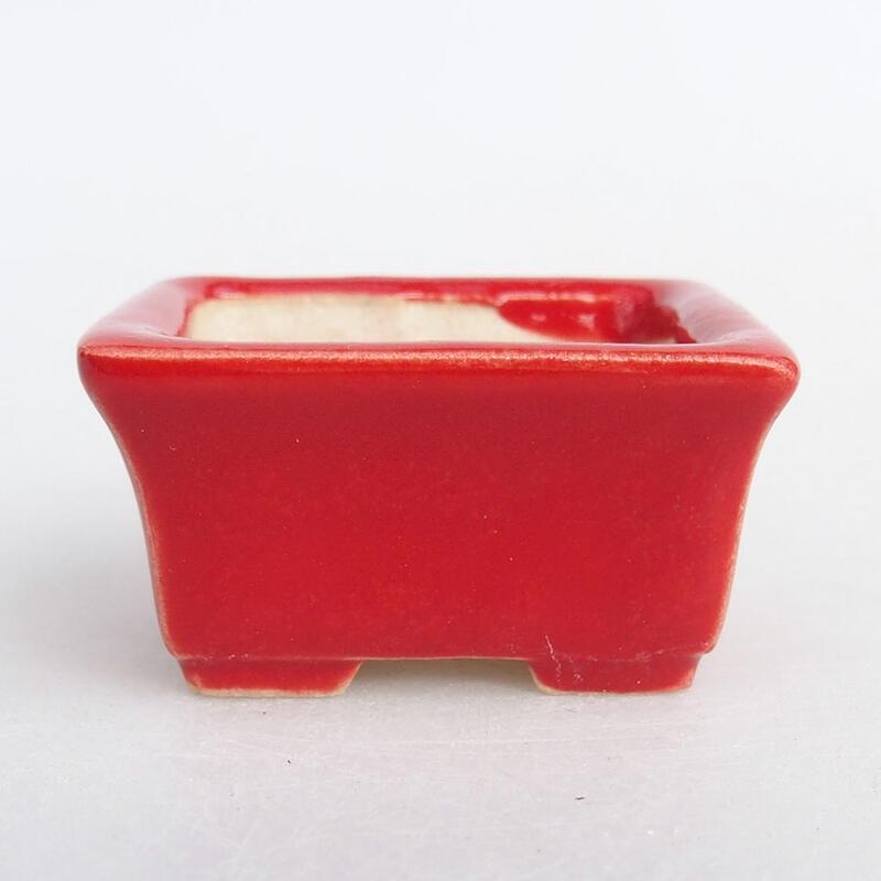 Mini bonsaischaal 4 x 3 x 2 cm, kleur rood