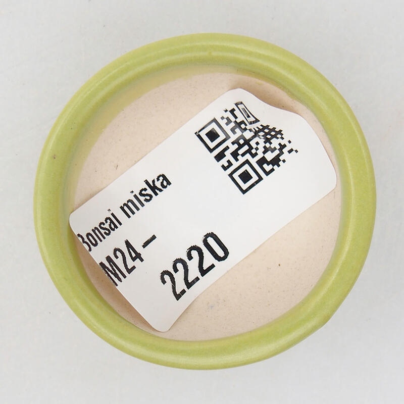 Mini bonsaischaal 4 x 4 x 1,5 cm, groen