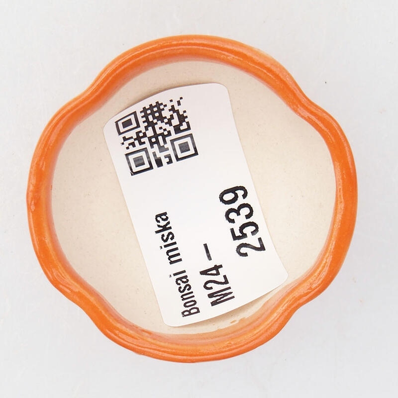 Mini bonsaischaal 4 x 4 x 2,5 cm, oranje