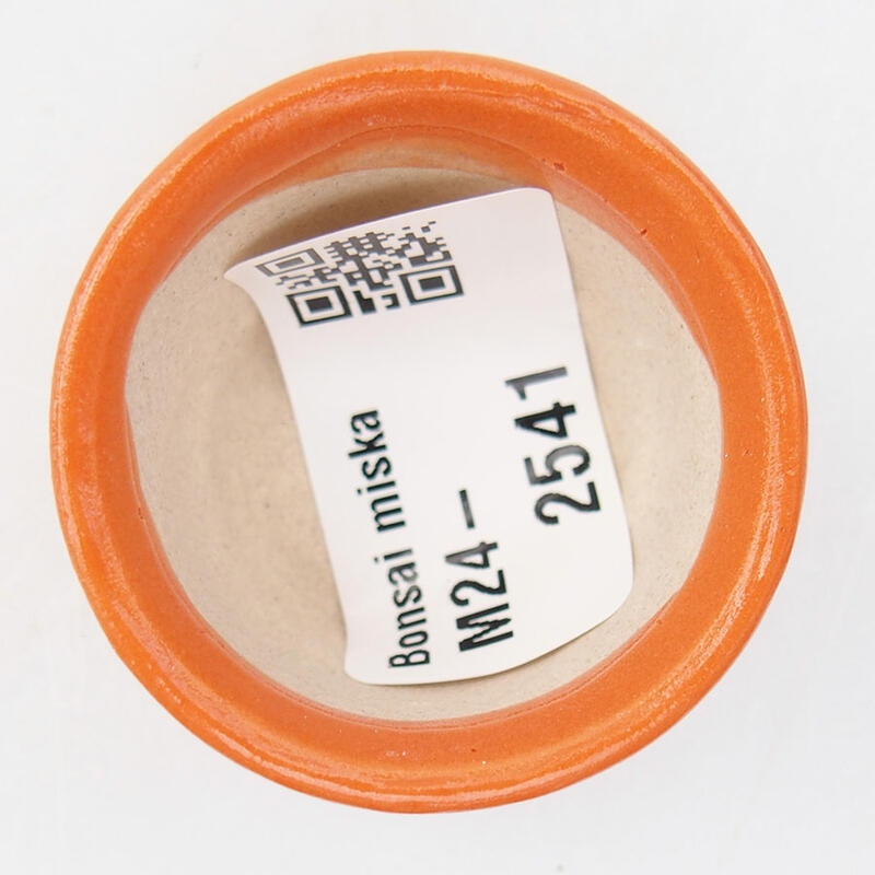 Mini bonsaischaal 4 x 4 x 2,5 cm, oranje