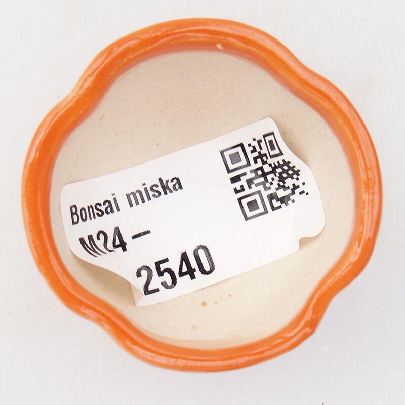Mini bonsaischaal 4 x 4 x 2,5 cm, oranje