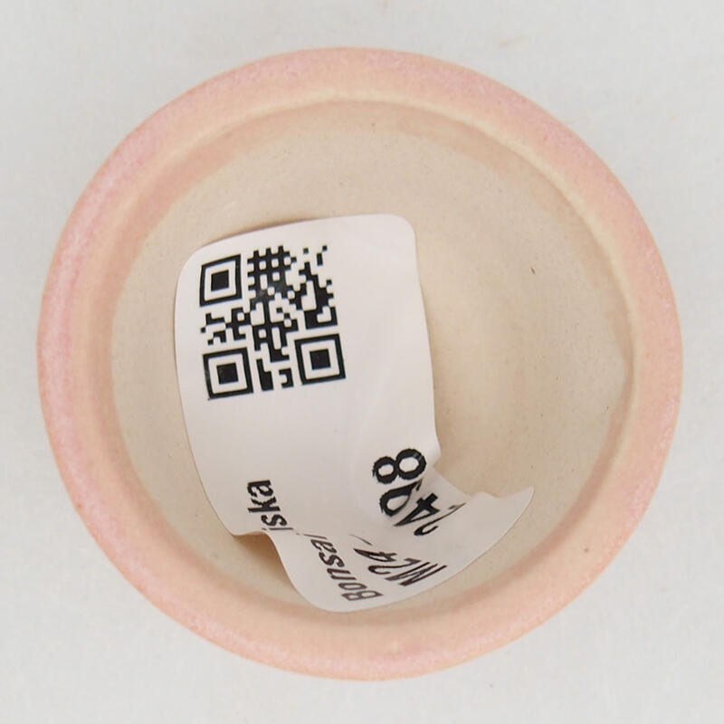 Mini bonsaischaal 4 x 4 x 2,5 cm, roze