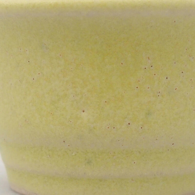 Mini bonsaischaal 4 x 4 x 2,5 cm, groen