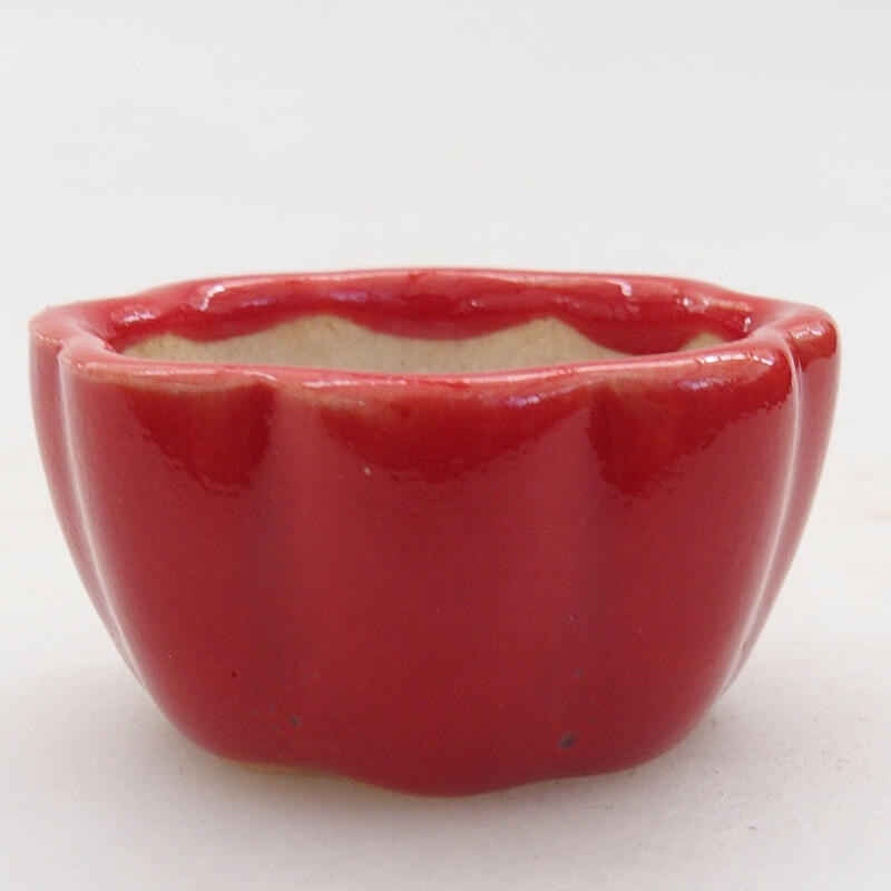 Mini bonsaischaal 4 x 4 x 2 cm, kleur rood