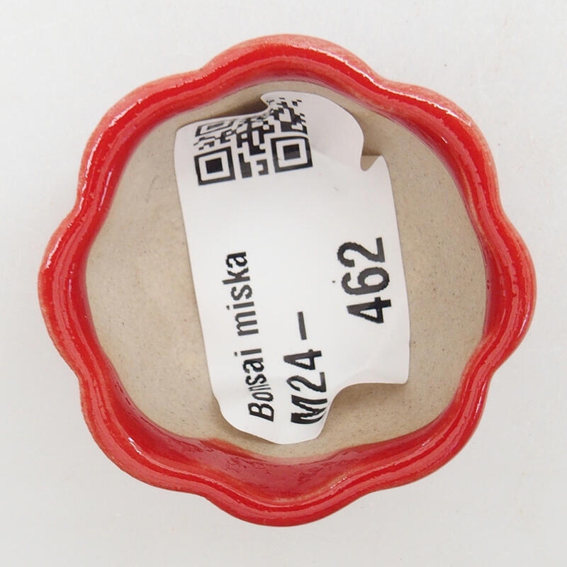 Mini bonsaischaal 4 x 4 x 2 cm, kleur rood