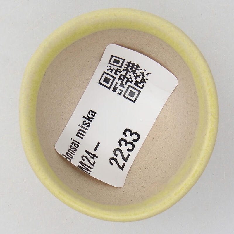 Mini bonsaischaal 4 x 4 x 2 cm, geel