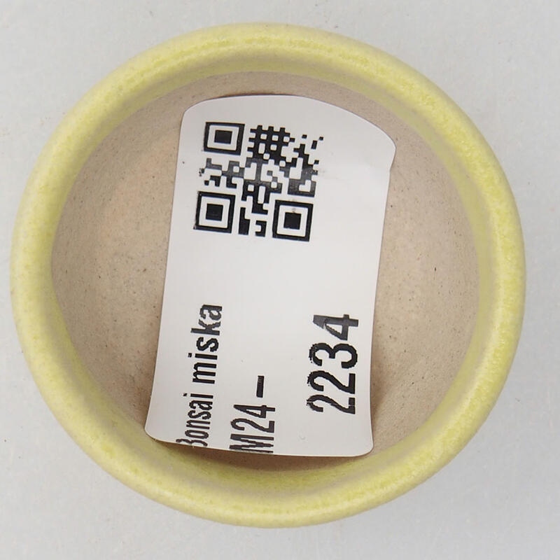 Mini bonsaischaal 4 x 4 x 2 cm, geel