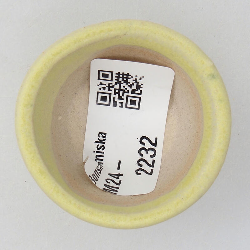 Mini bonsaischaal 4 x 4 x 2 cm, geel