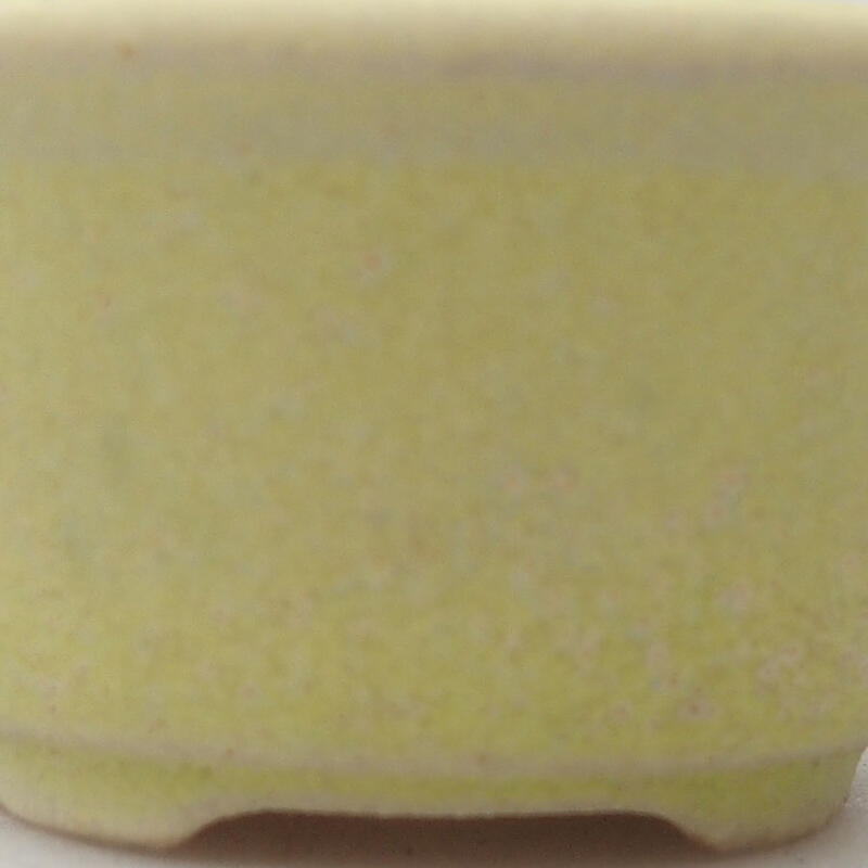 Mini bonsaischaal 4 x 4 x 2 cm, geel