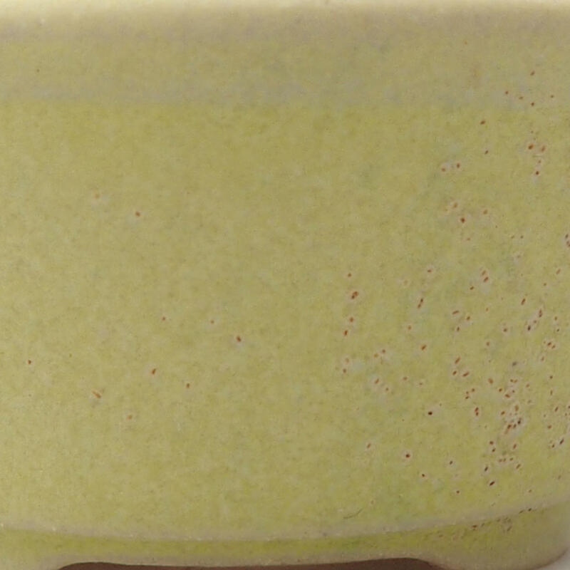 Mini bonsaischaal 4 x 4 x 2 cm, geel