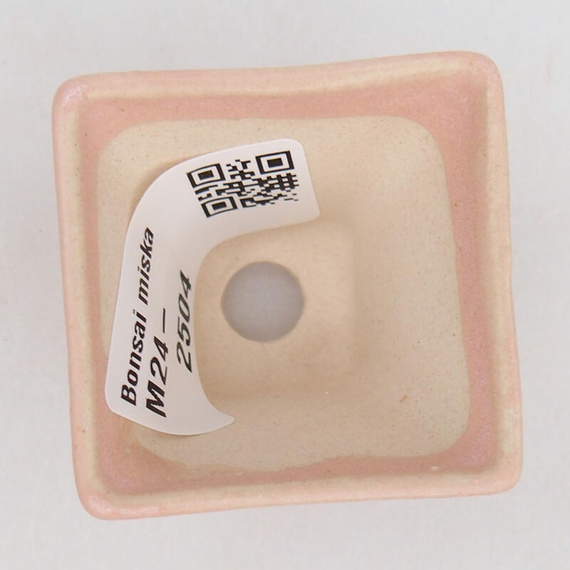 Mini bonsaischaal 4 x 4 x 3,5 cm, roze