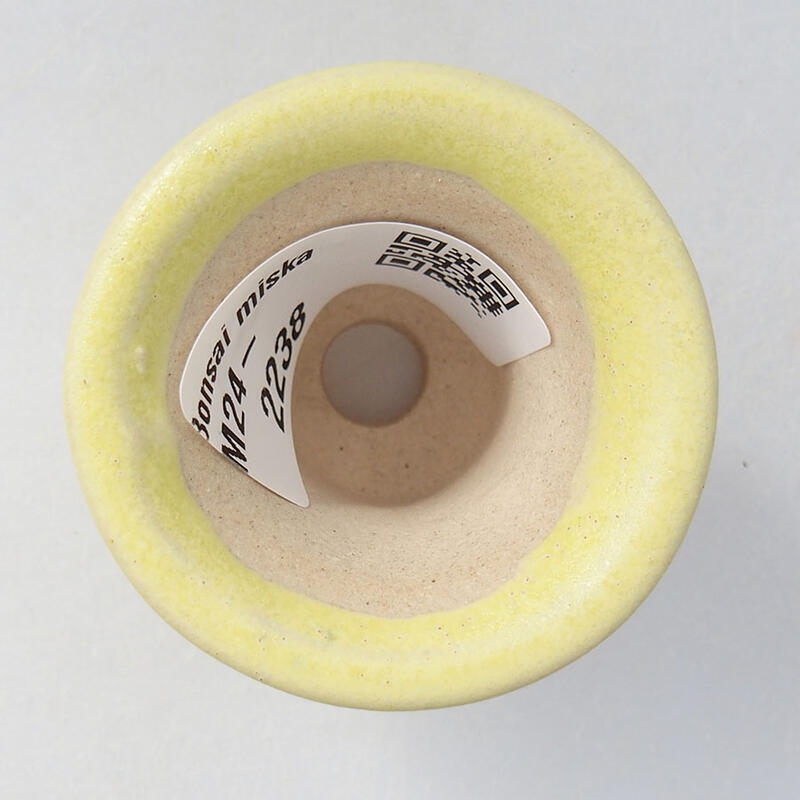 Mini bonsaischaal 4 x 4 x 3,5 cm, geel