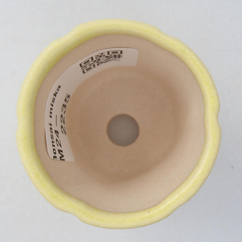 Mini bonsaischaal 4 x 4 x 4 cm, geel