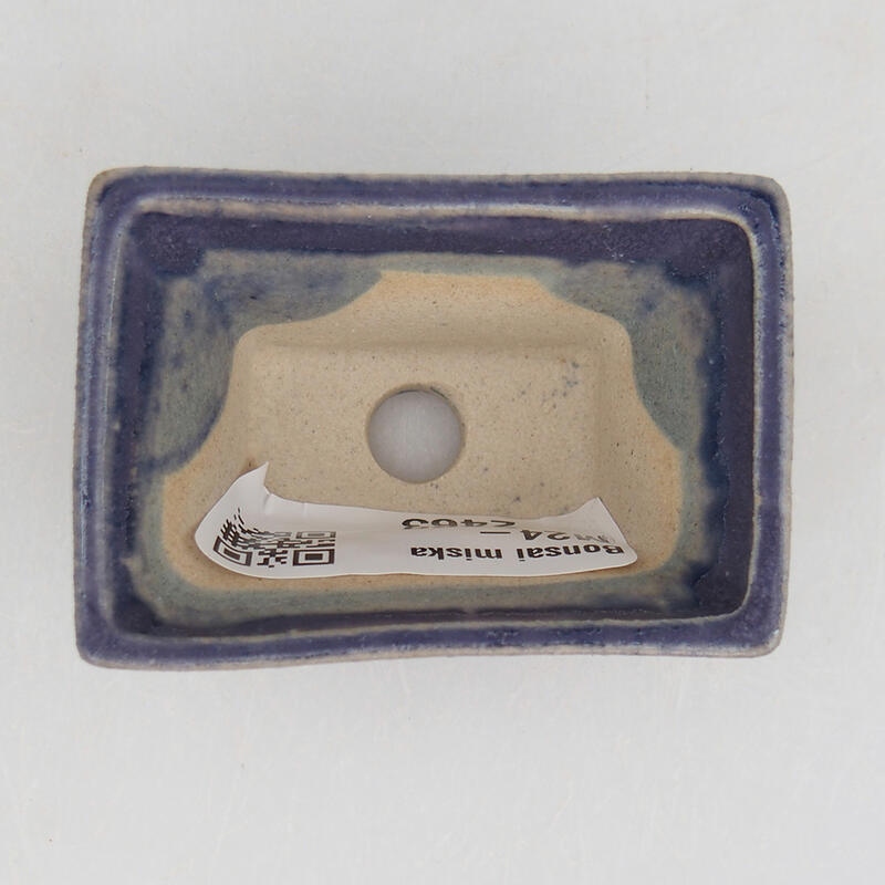 Mini bonsaischaal 5,5 x 3,5 x 3 cm, kleur paars