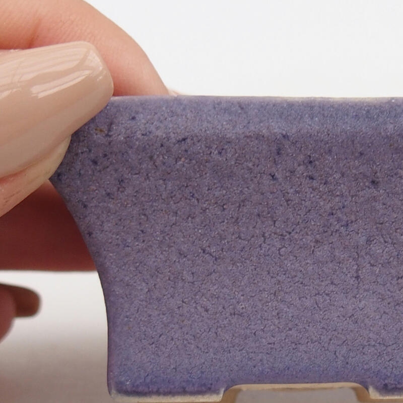 Mini bonsaischaal 5,5 x 3,5 x 3 cm, kleur paars