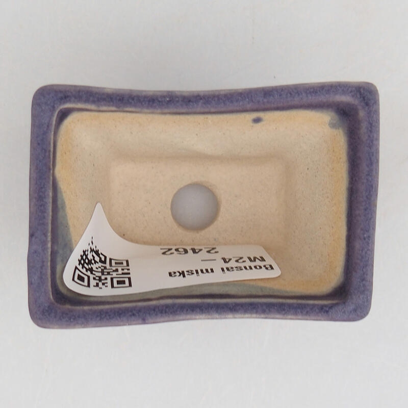 Mini bonsaischaal 5,5 x 3,5 x 3 cm, kleur paars