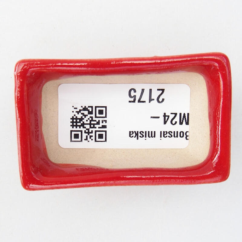 Mini bonsaischaal 5,5 x 3 x 1,5 cm, kleur rood