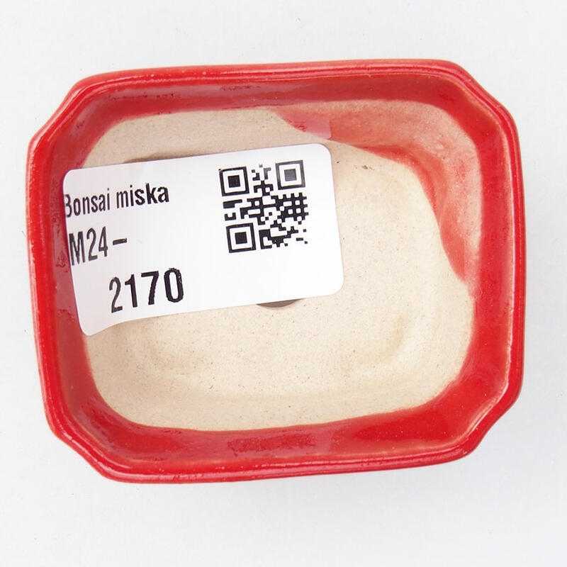 Mini bonsaischaal 5,5 x 4,5 x 2 cm, kleur rood