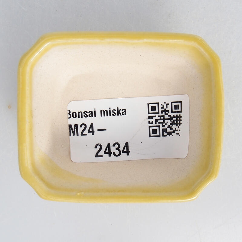 Mini bonsaischaal 5,5 x 4,5 x 2 cm, geel