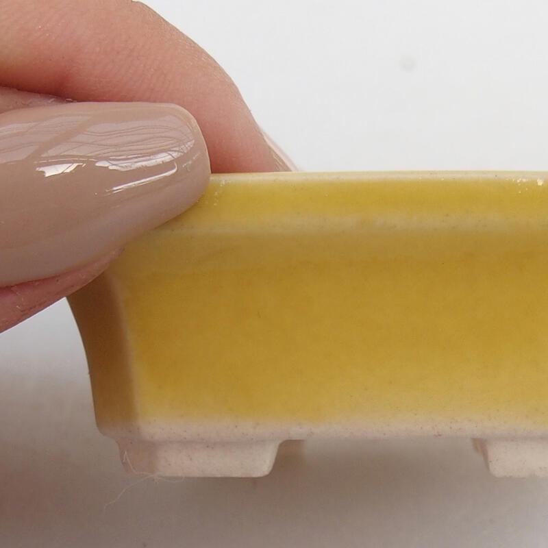 Mini bonsaischaal 5,5 x 4,5 x 2 cm, geel