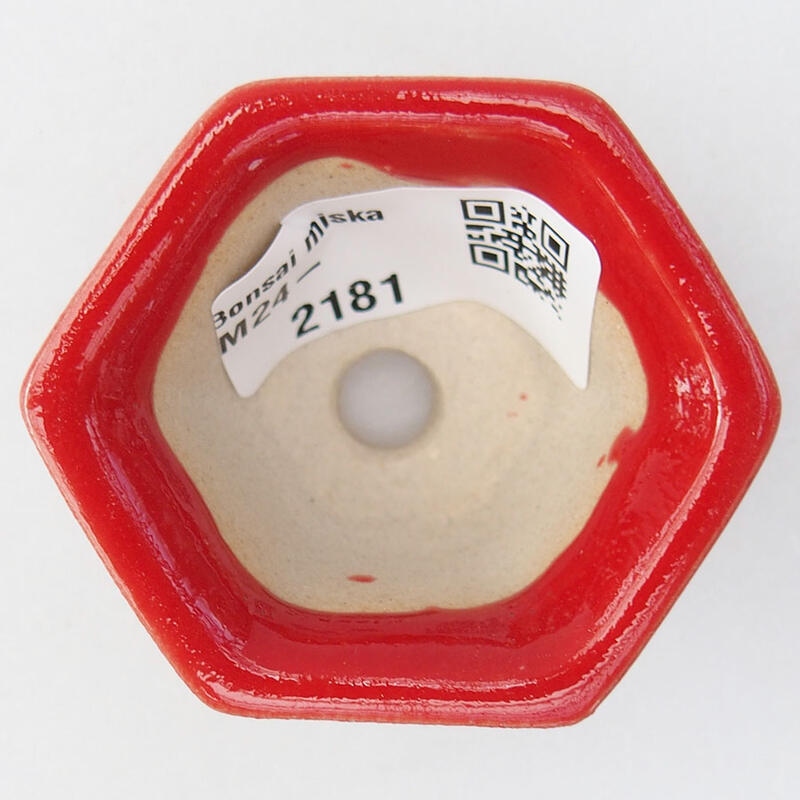 Mini bonsaischaal 5,5 x 4,5 x 3 cm, kleur rood