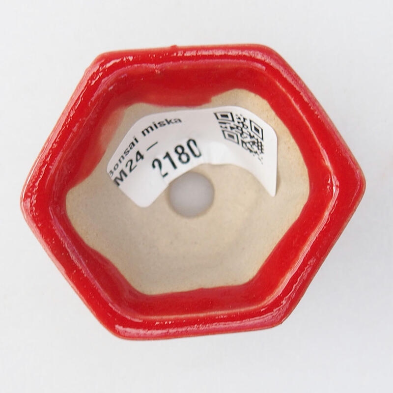 Mini bonsaischaal 5,5 x 4,5 x 3 cm, kleur rood