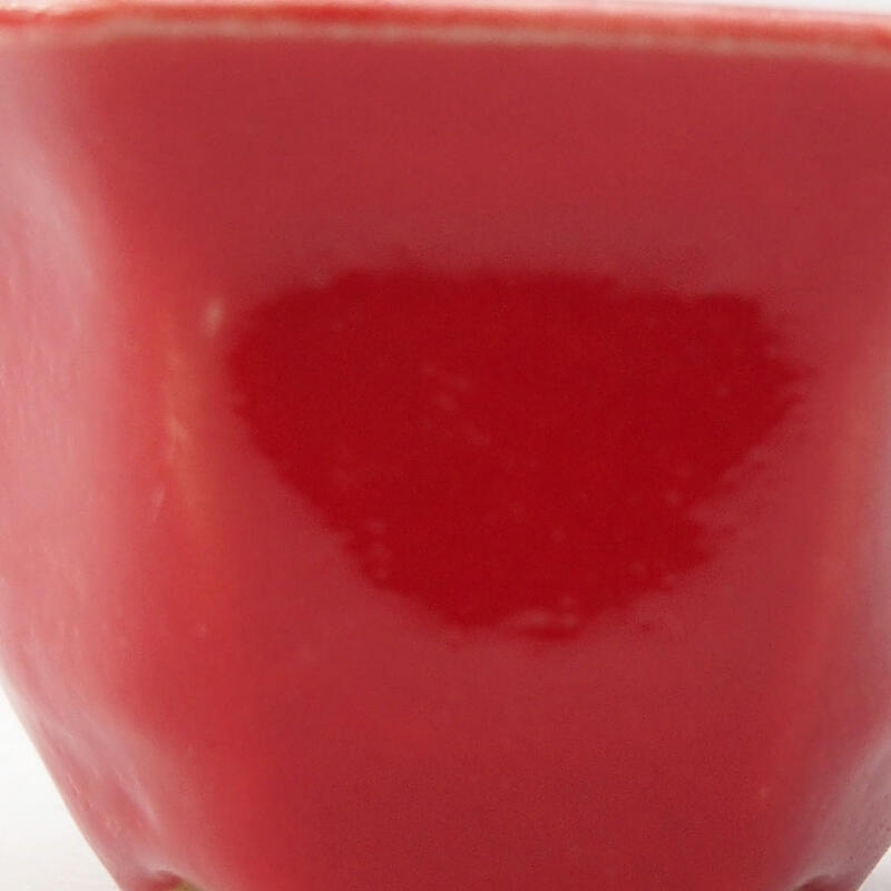 Mini bonsaischaal 5,5 x 4,5 x 3 cm, kleur rood