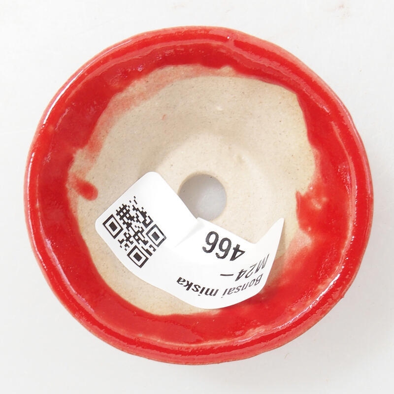 Mini bonsaischaal 5,5 x 5,5 x 2,5 cm, kleur rood