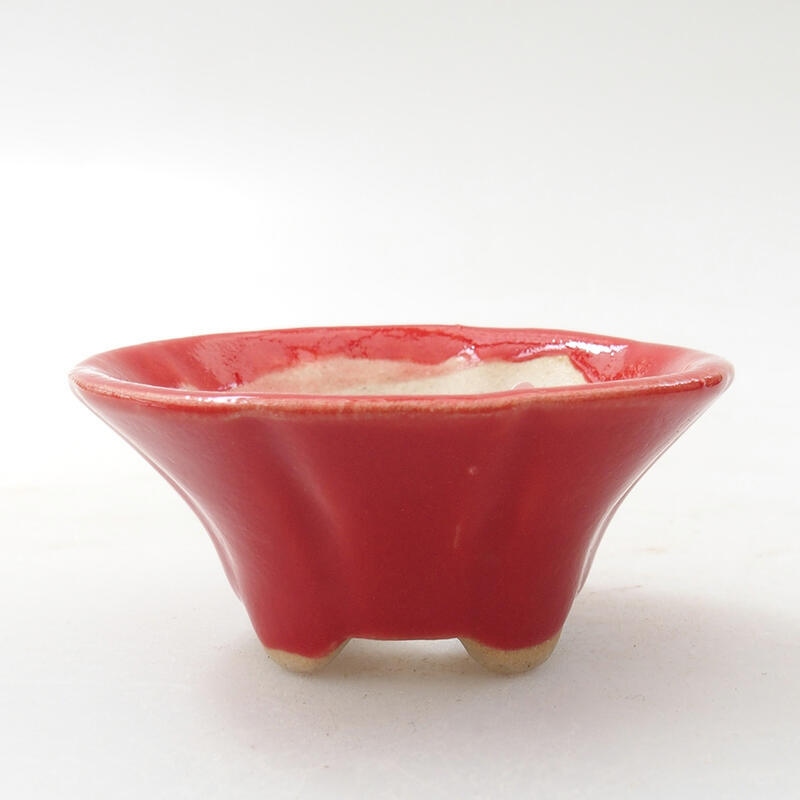 Mini bonsaischaal 5,5 x 5,5 x 2,5 cm, kleur rood