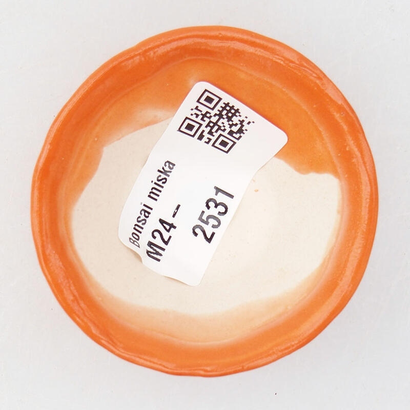 Mini bonsaischaal 5,5 x 5,5 x 2,5 cm, oranje