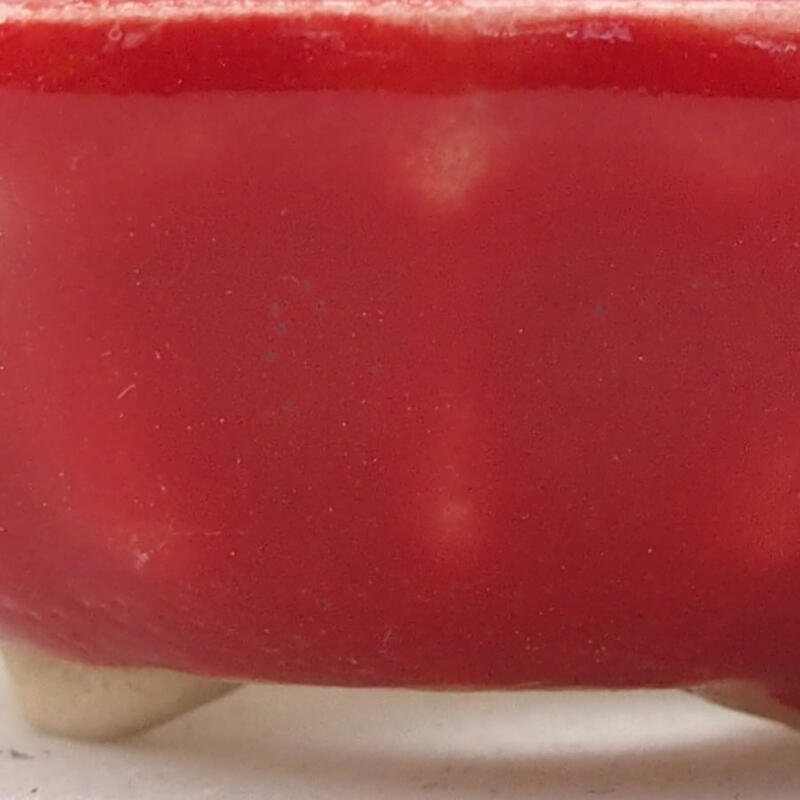 Mini bonsaischaal 5,5 x 5,5 x 2 cm, kleur rood
