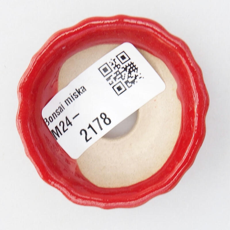 Mini bonsaischaal 5,5 x 5,5 x 2 cm, kleur rood