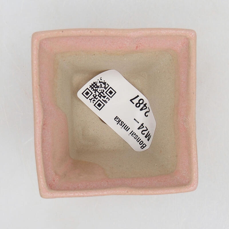 Mini bonsaischaal 5,5 x 5,5 x 3,5 cm, roze