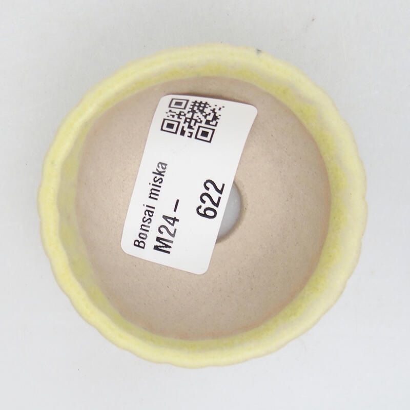Mini bonsaischaal 5,5 x 5,5 x 3 cm, groen