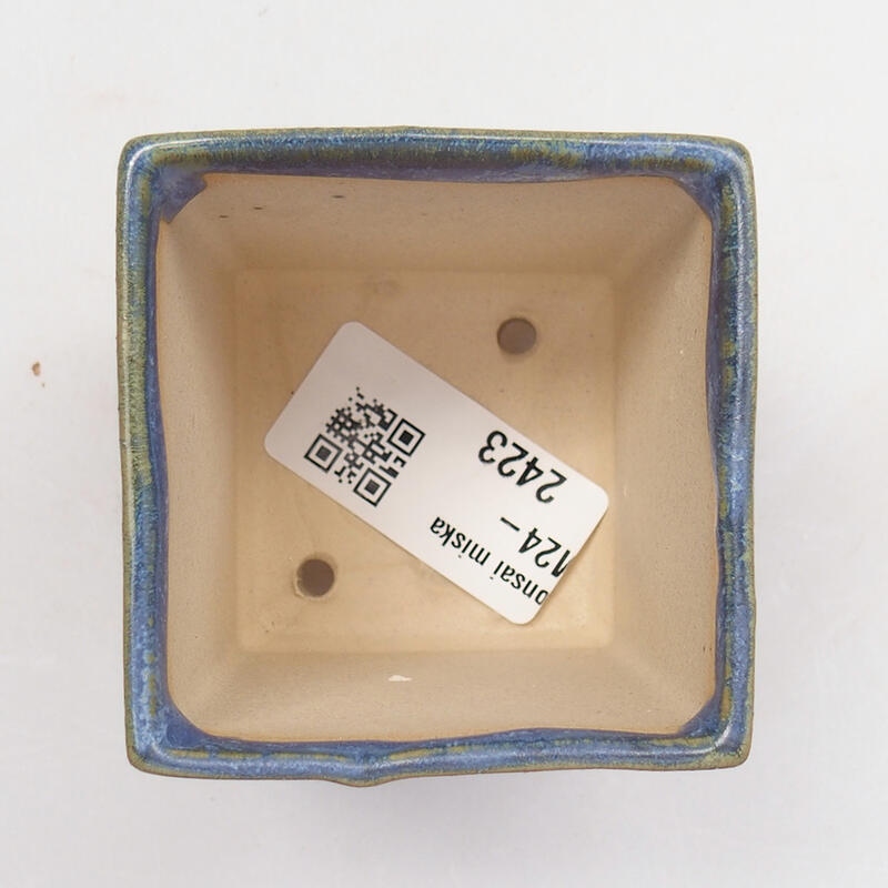 Mini bonsaischaal 5,5 x 5,5 x 6,5 cm, kleur blauw