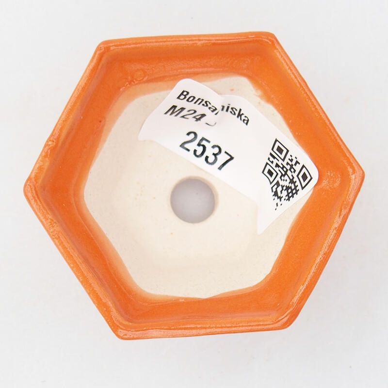 Mini bonsaischaal 5,5 x 5 x 3 cm, oranje