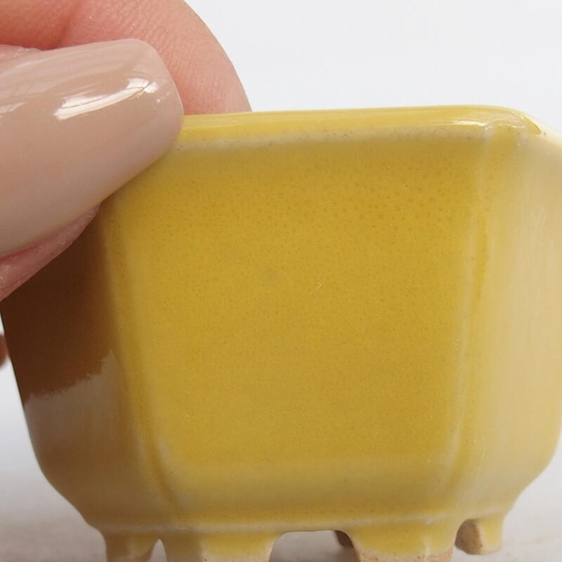 Mini bonsaischaal 5,5 x 5 x 3 cm, geel