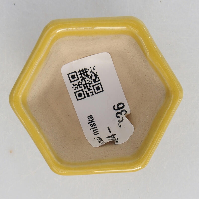Mini bonsaischaal 5,5 x 5 x 3 cm, geel