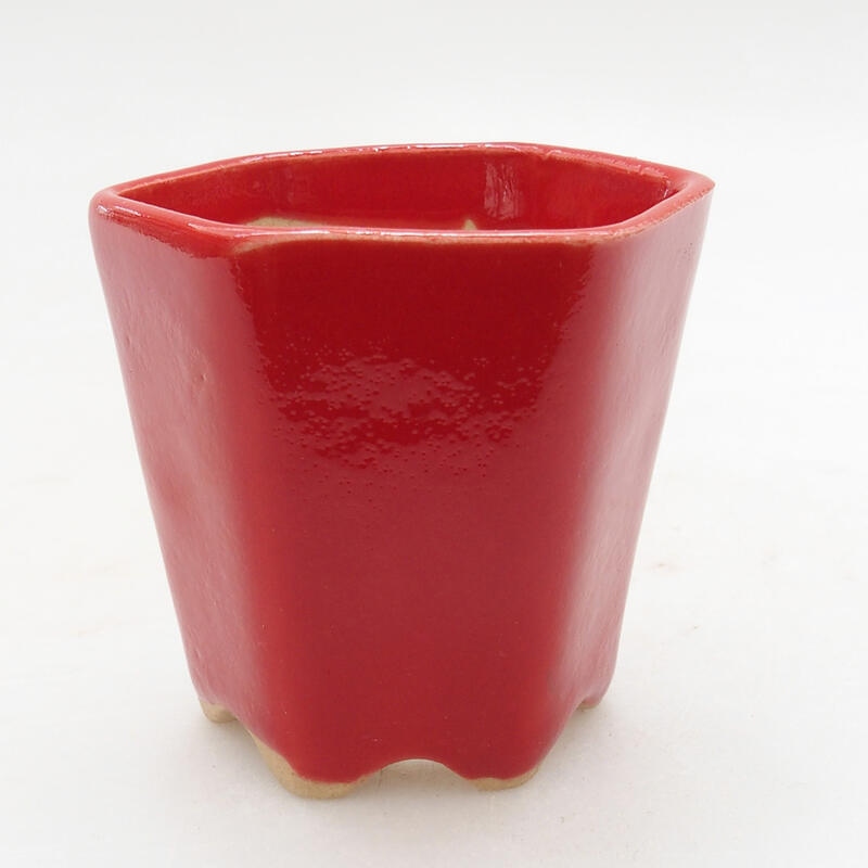 Mini bonsaischaal 5,5 x 5 x 5 cm, kleur rood