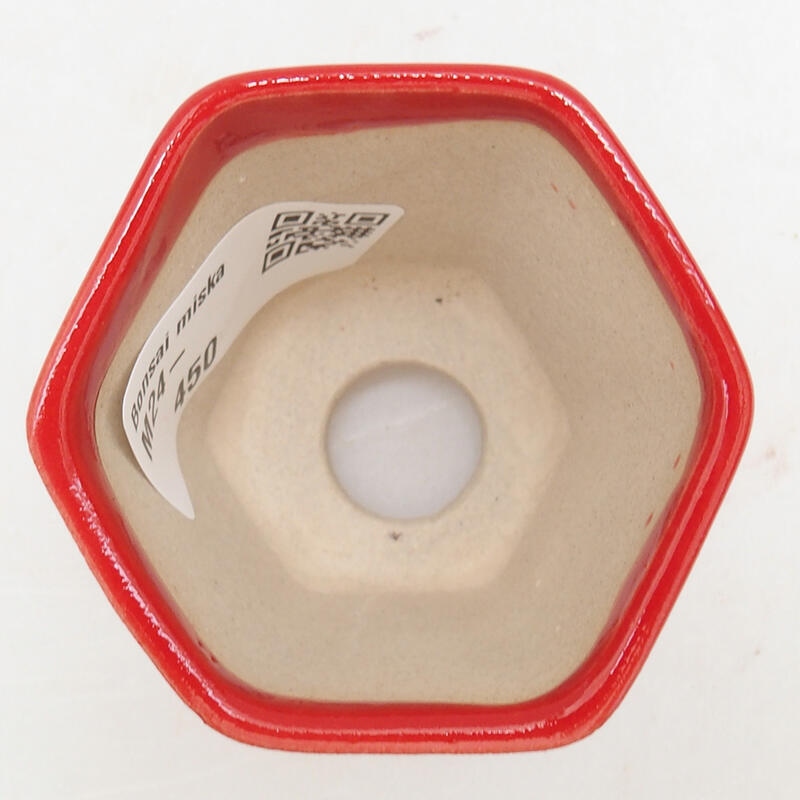 Mini bonsaischaal 5,5 x 5 x 5 cm, kleur rood
