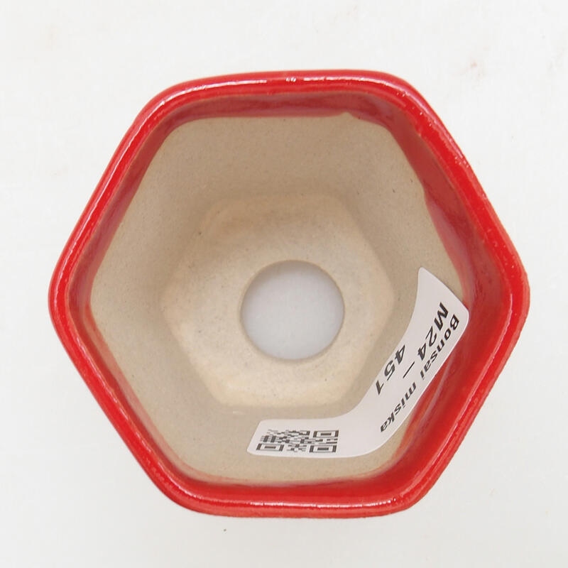 Mini bonsaischaal 5,5 x 5 x 5 cm, kleur rood