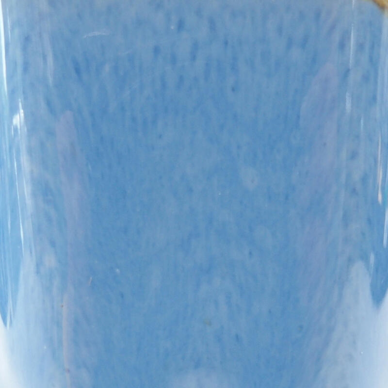 Mini bonsaischaal 5,5 x 5 x 5 cm, kleur blauw